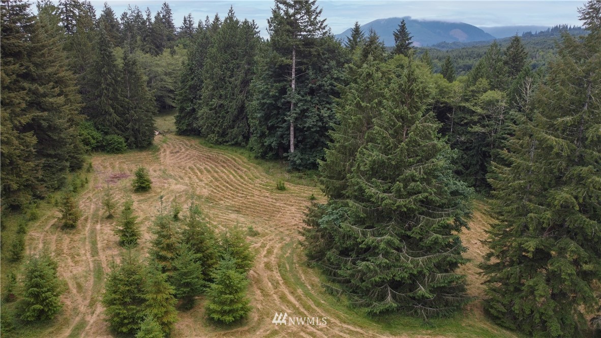 1251 Lords Lake Loop Road Quilcene, WA 98376 - Photo 6 of 37