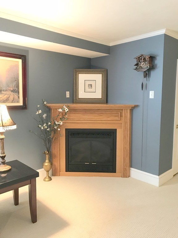 343 Quarry Street, Unit 2 Quincy, MA 02169 - Photo 27 of 30 a living room with furniture and a fireplace