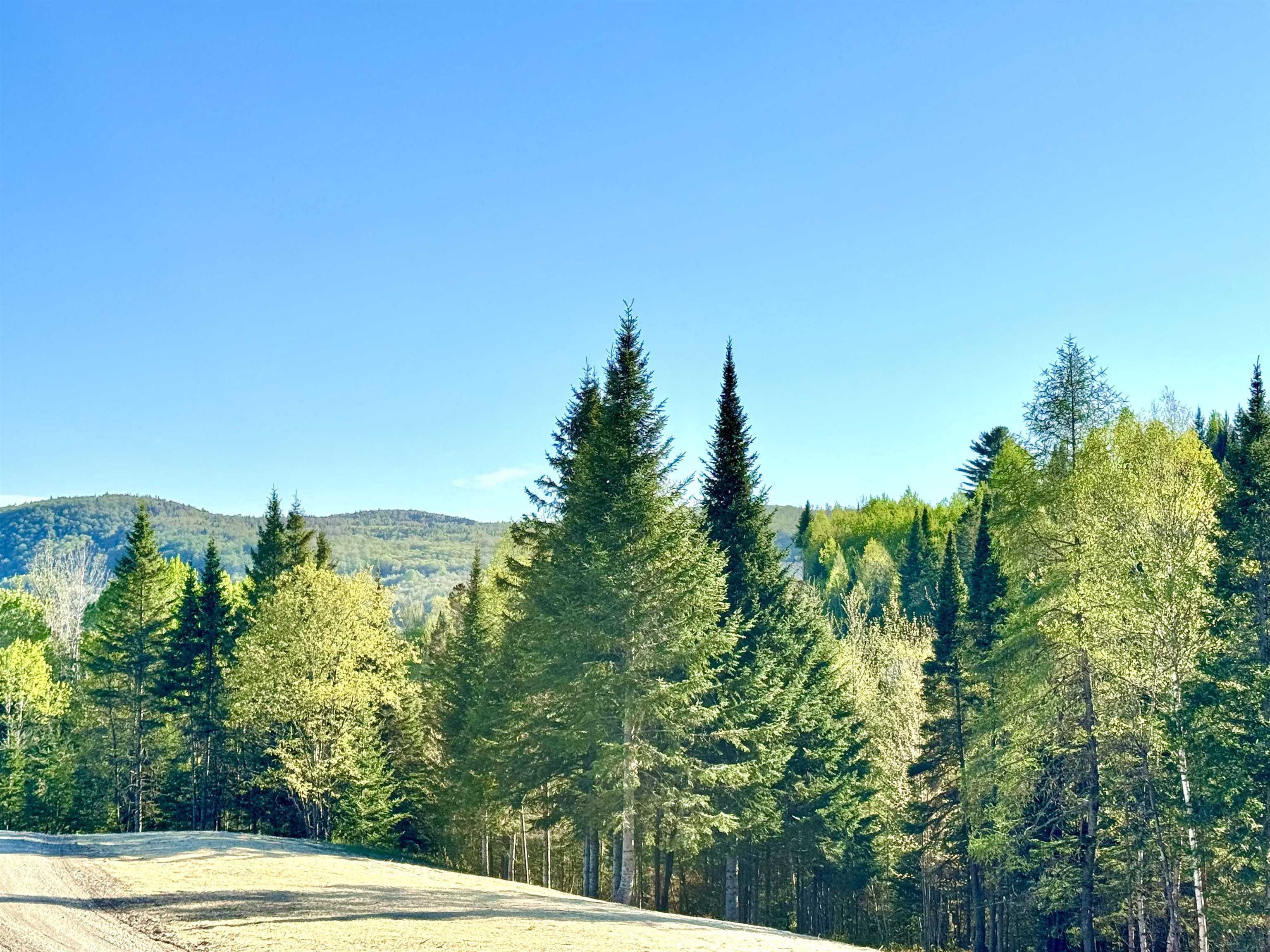 Lot 8 Gulch Brook Road Stewartstown, NH 03576 - Photo 12 of 22