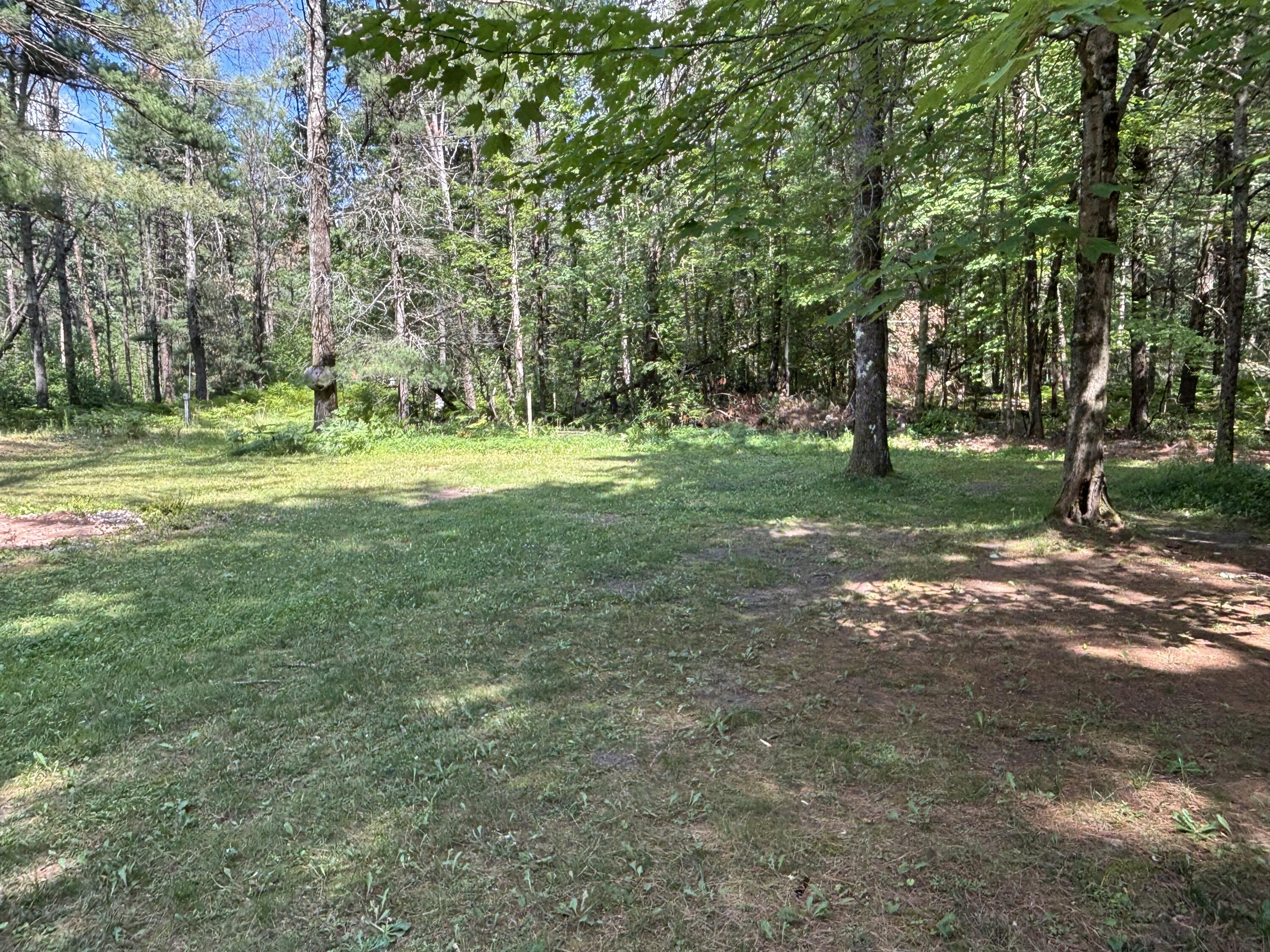 2594 South Forman Road Baldwin, MI 49304 - Photo 25 of 28 Yard