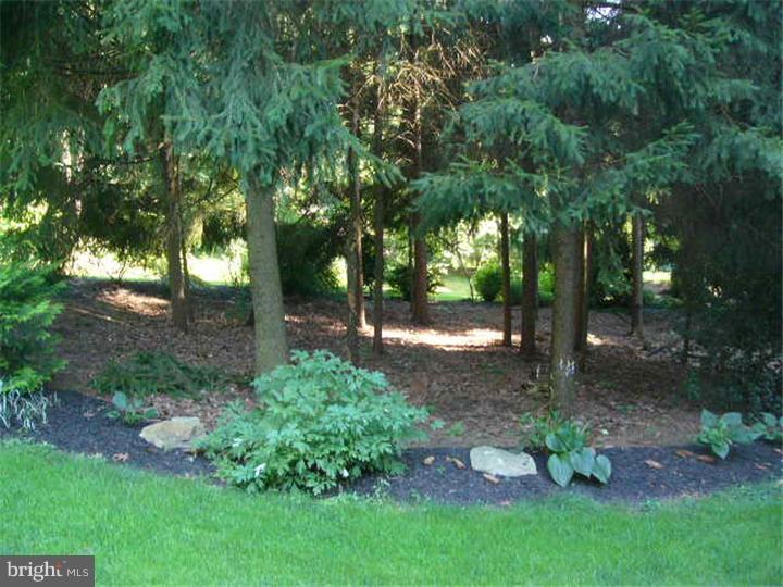 3003 Buck Run Road Temple, PA 19560 - Photo 8 of 25