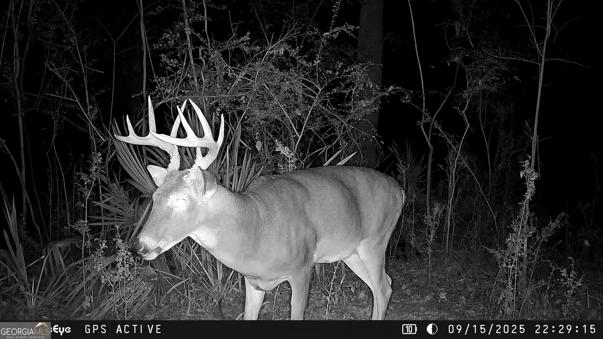 0 Charles Street Vienna, GA 31092 - Photo 11 of 18