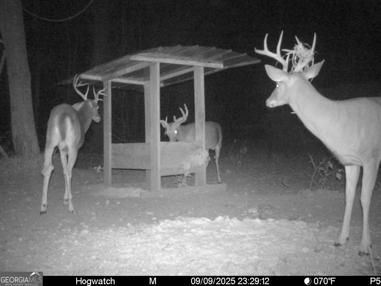 0 Charles Street Vienna, GA 31092 - Photo 12 of 18 a view of dining room with wooden floor