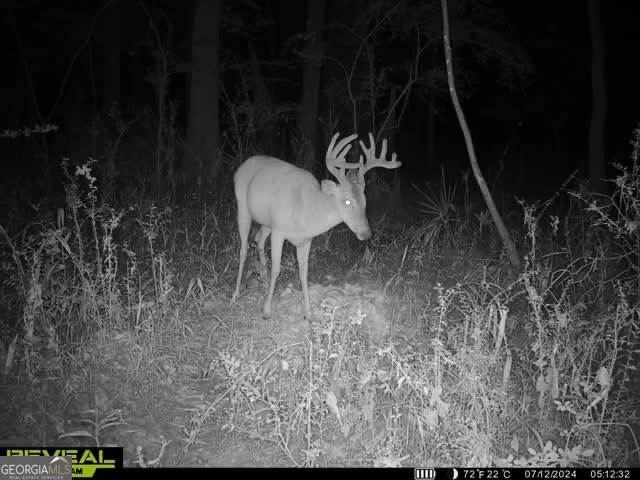 0 Charles Street Vienna, GA 31092 - Photo 17 of 18 a view of a backyard of a house