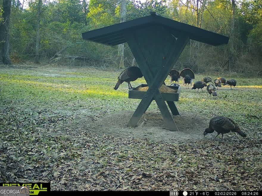 0 Charles Street Vienna, GA 31092 - Photo 2 of 18 a view of outdoor space and yard