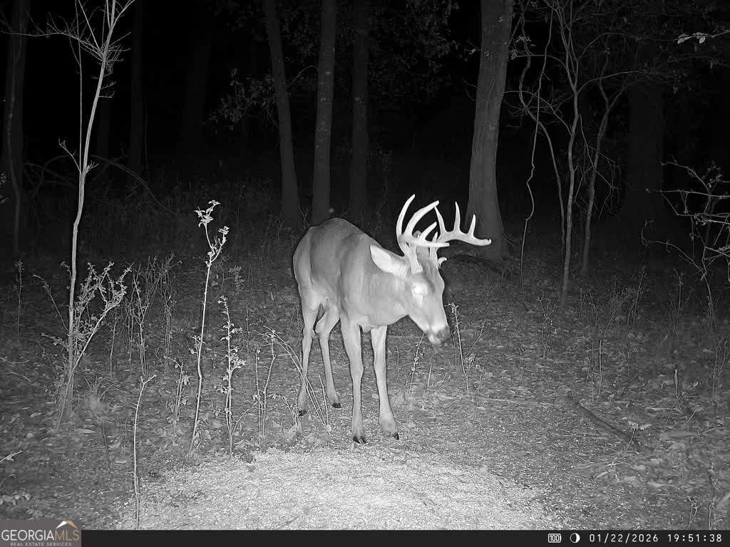 0 Charles Street Vienna, GA 31092 - Photo 4 of 18 a view of a dining table and chairs in a patio