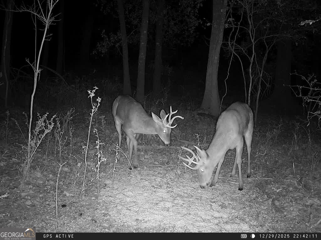 0 Charles Street Vienna, GA 31092 - Photo 5 of 18 a backyard of a house with table and chairs