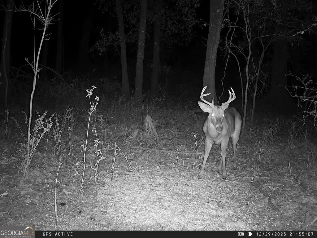 0 Charles Street Vienna, GA 31092 - Photo 6 of 18 a view of entryway