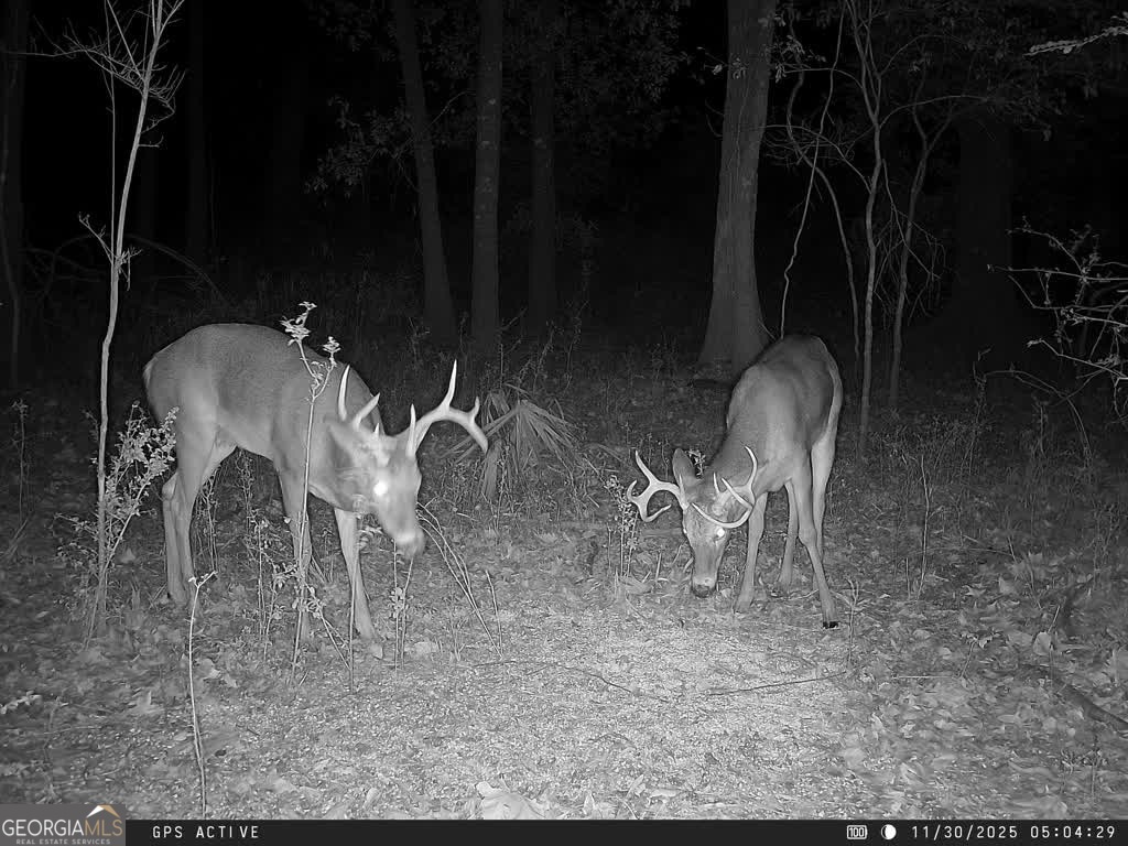 0 Charles Street Vienna, GA 31092 - Photo 8 of 18 a view of a yard