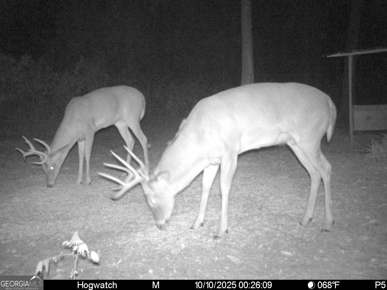 0 Charles Street Vienna, GA 31092 - Photo 9 of 18