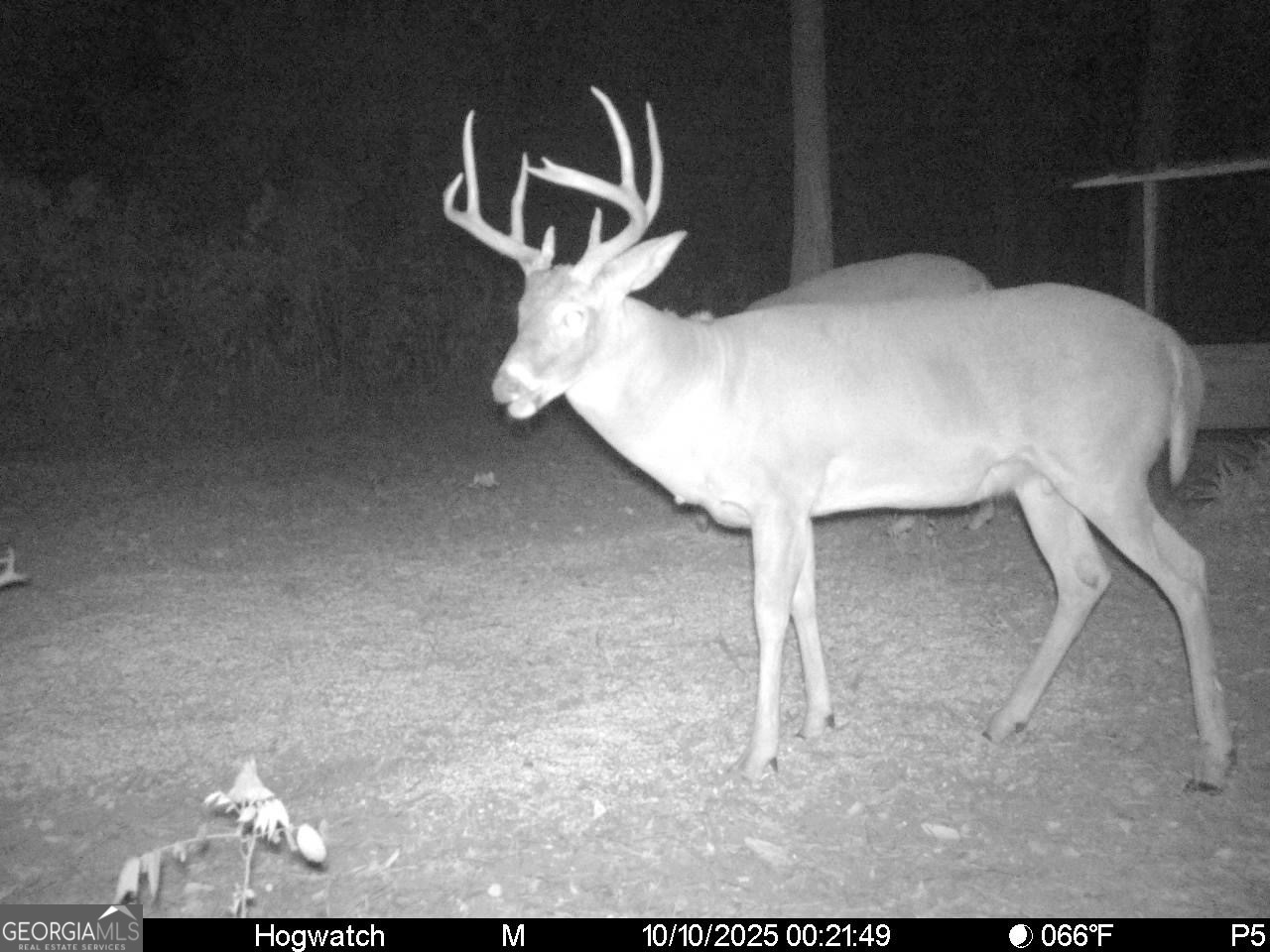 0 Charles Street Vienna, GA 31092 - Photo 10 of 18