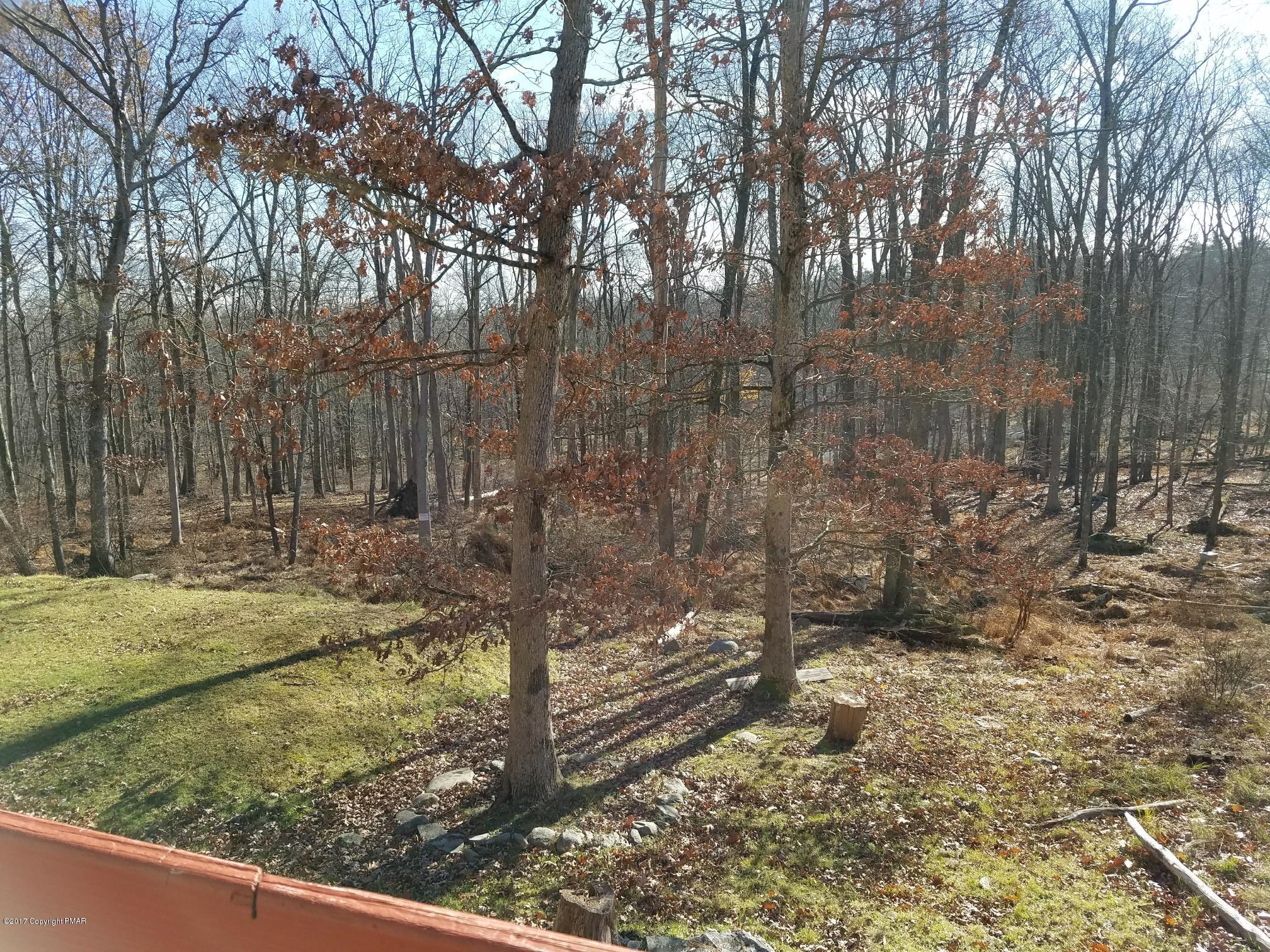 1421 Deer Run Road Bushkill, PA 18324 - Photo 12 of 17 back yard