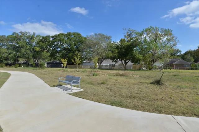 a view of a park with large trees