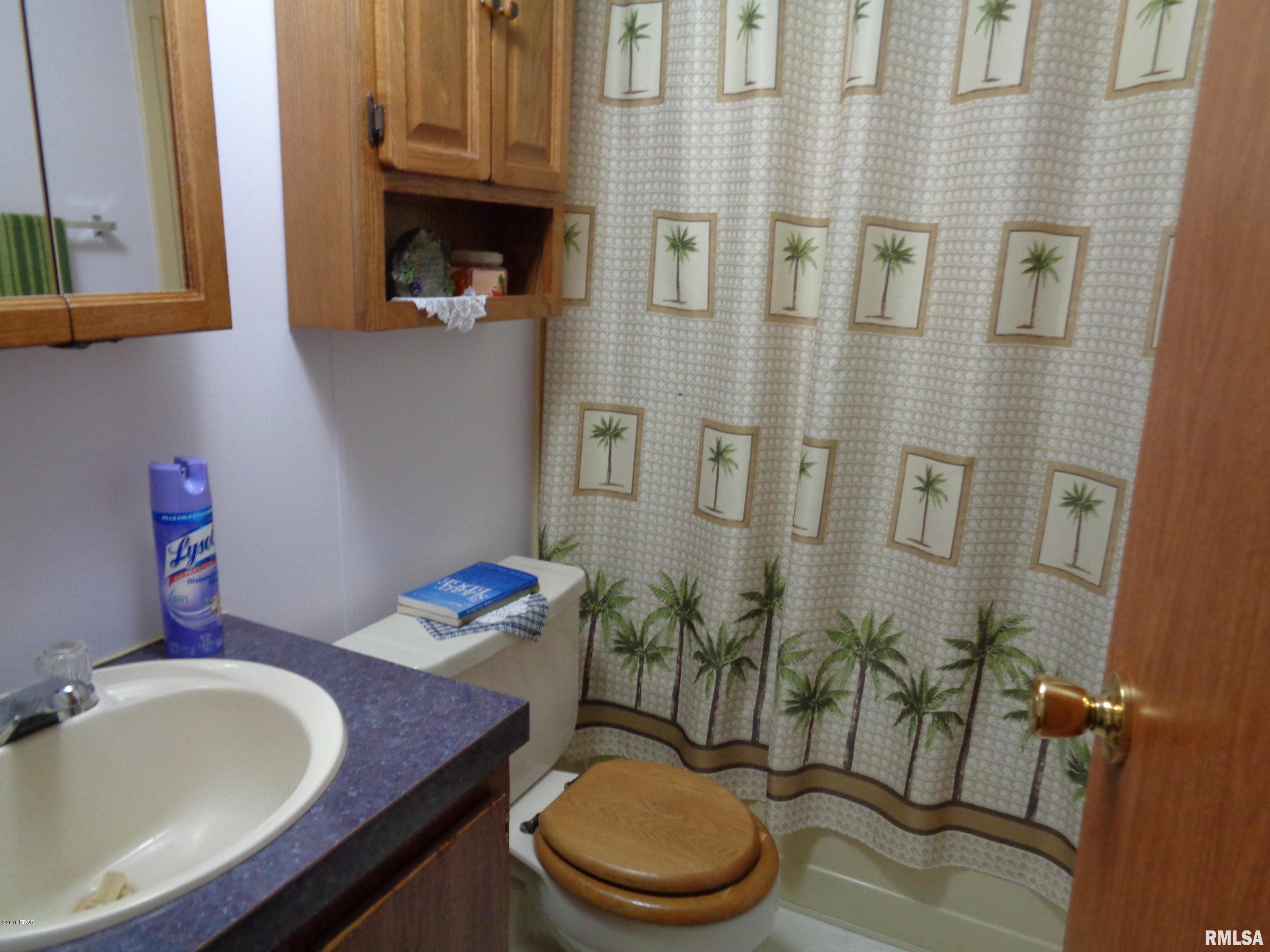 2100 Old Town Road Stonefort, IL 62987 - Photo 31 of 33 Gallery Image 31