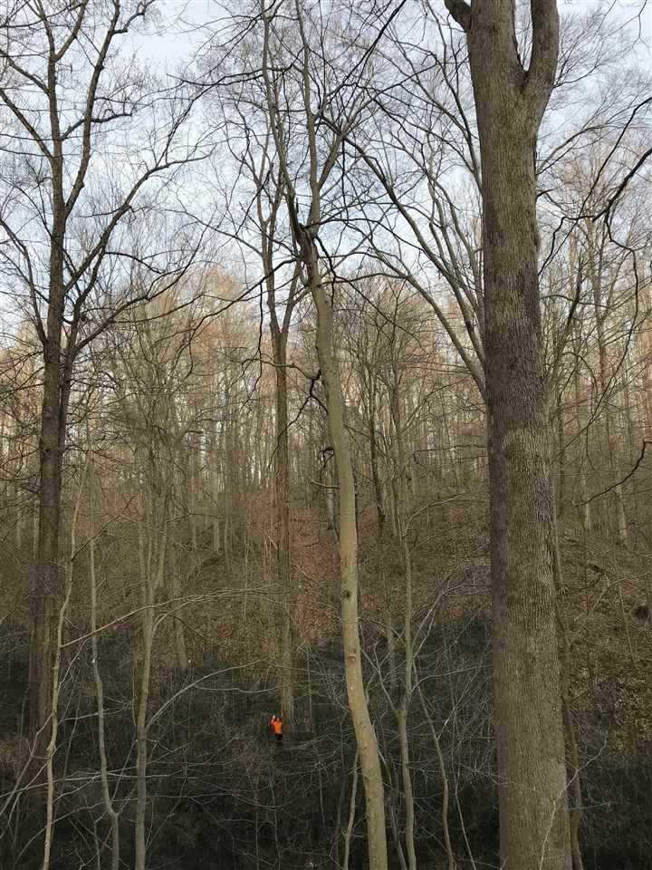 1802 Hinson Road Martinsville, IN 46151 - Photo 26 of 35