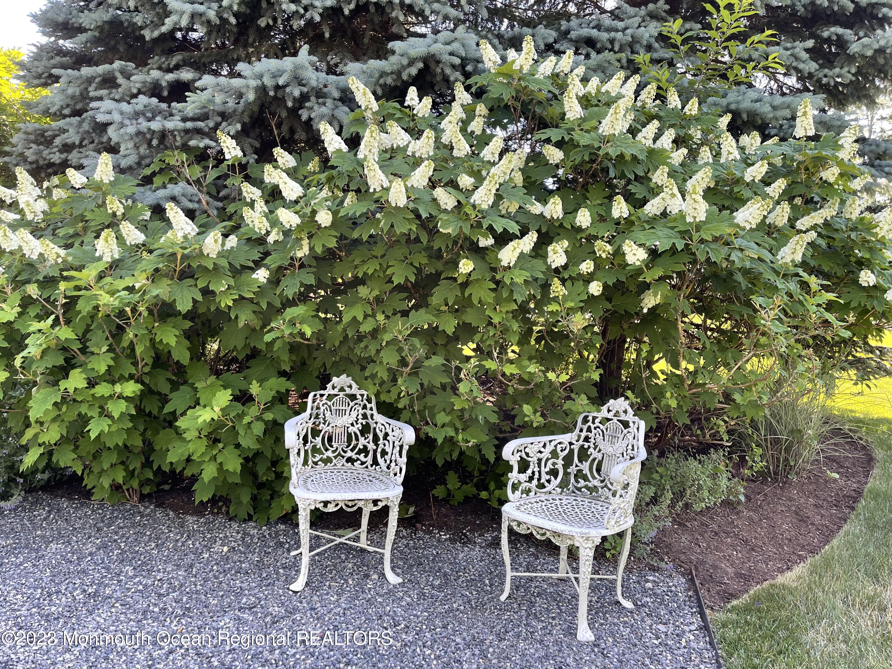 9 Tyson Lane Rumson, NJ 07760 - Photo 16 of 37 Exterior