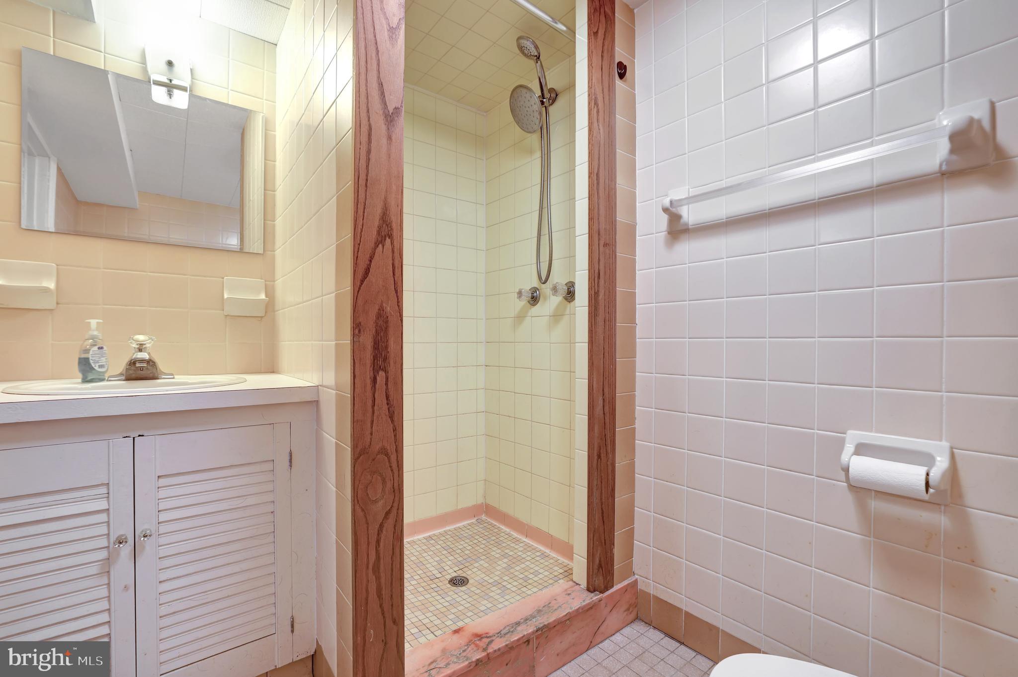10700 Hayes Avenue Silver Spring, MD 20902 - Photo 24 of 38 Lower level Bath with shower