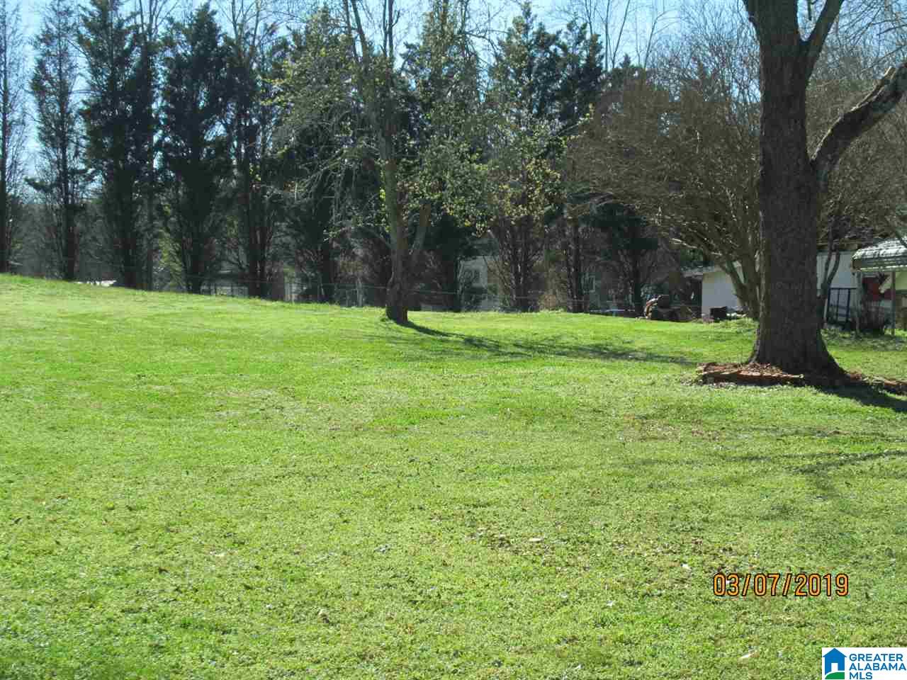 825 Murphrees Valley Road Springville, AL 35146 - Photo 39 of 40