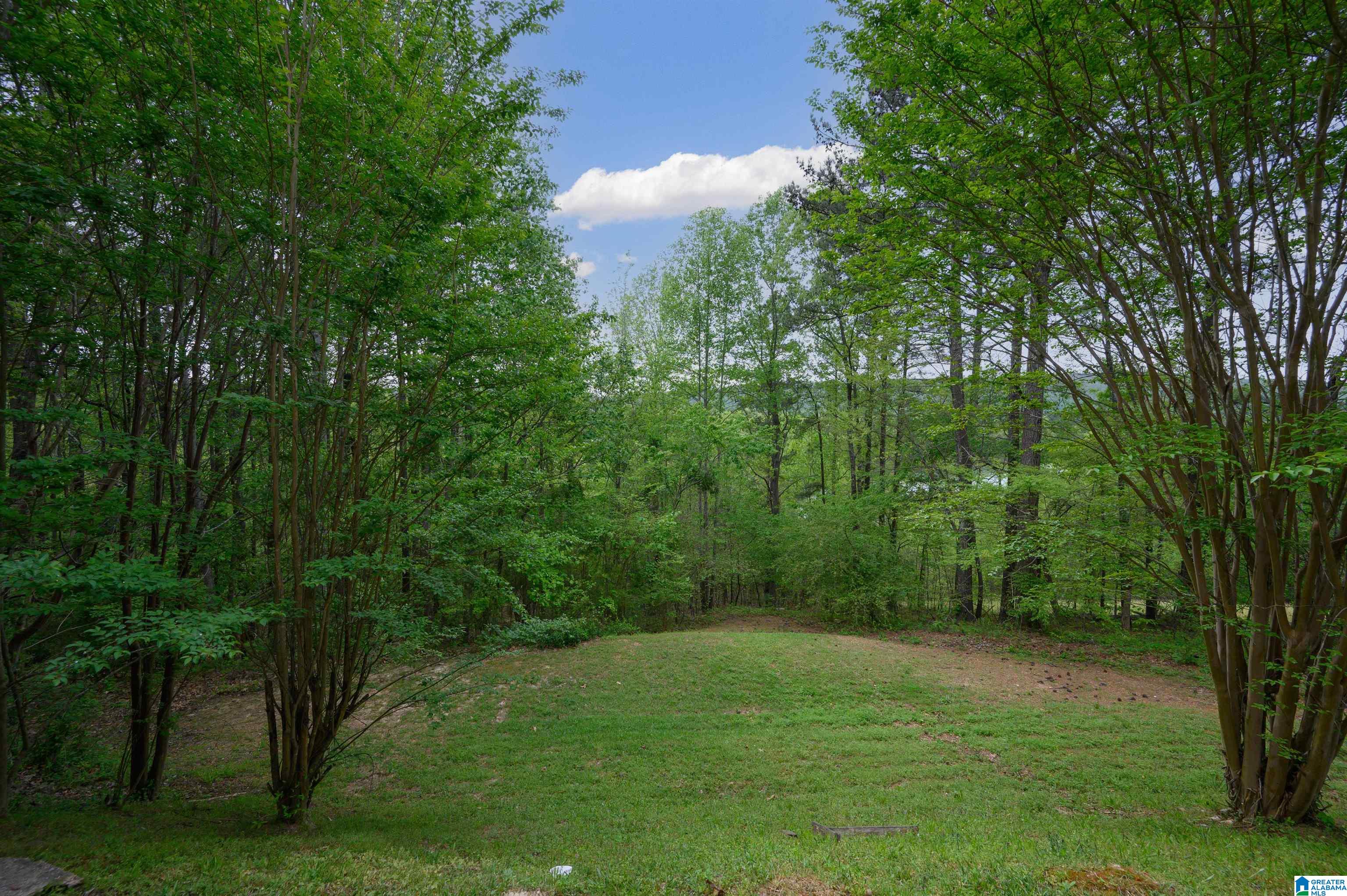 90 Ridgewood Lane Odenville, AL 35120 - Photo 51 of 65
