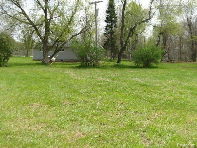 4113 Newark Road Attica, MI 48412 - Photo 25 of 26 Back Yard.JPG