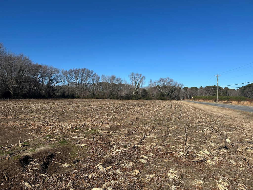 0 Seaside Road Nassawadox, VA 23413 - Photo 4 of 11