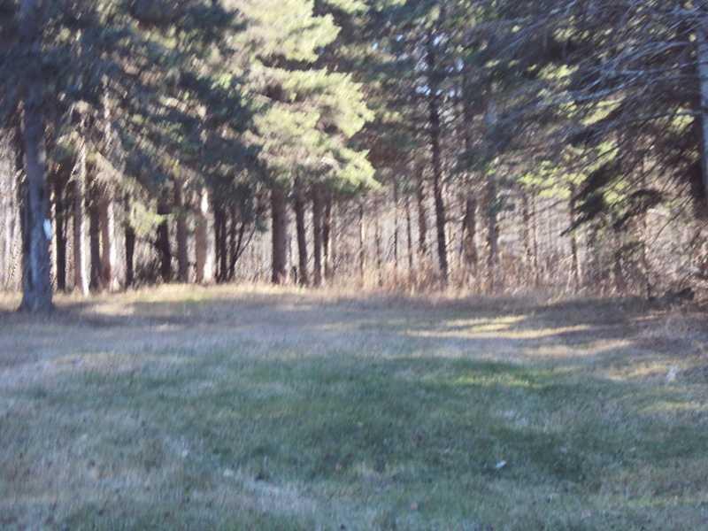 1508 Sly Brook Road Eagle Lake, ME 04739 - Photo 14 of 14 Land.