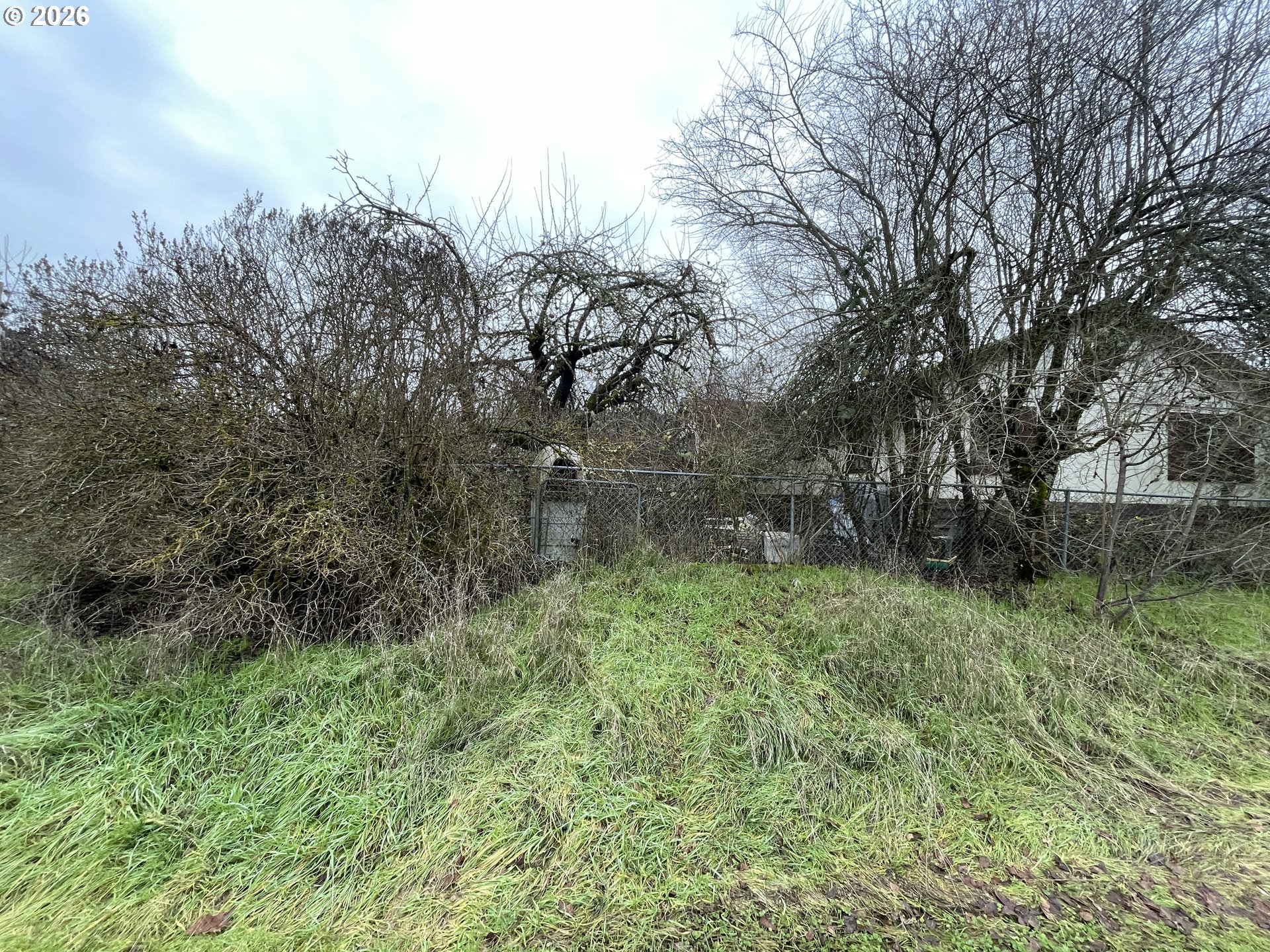 48433 Jasper Drive Oakridge, OR 97463 - Photo 3 of 6 a view of a lush green forest