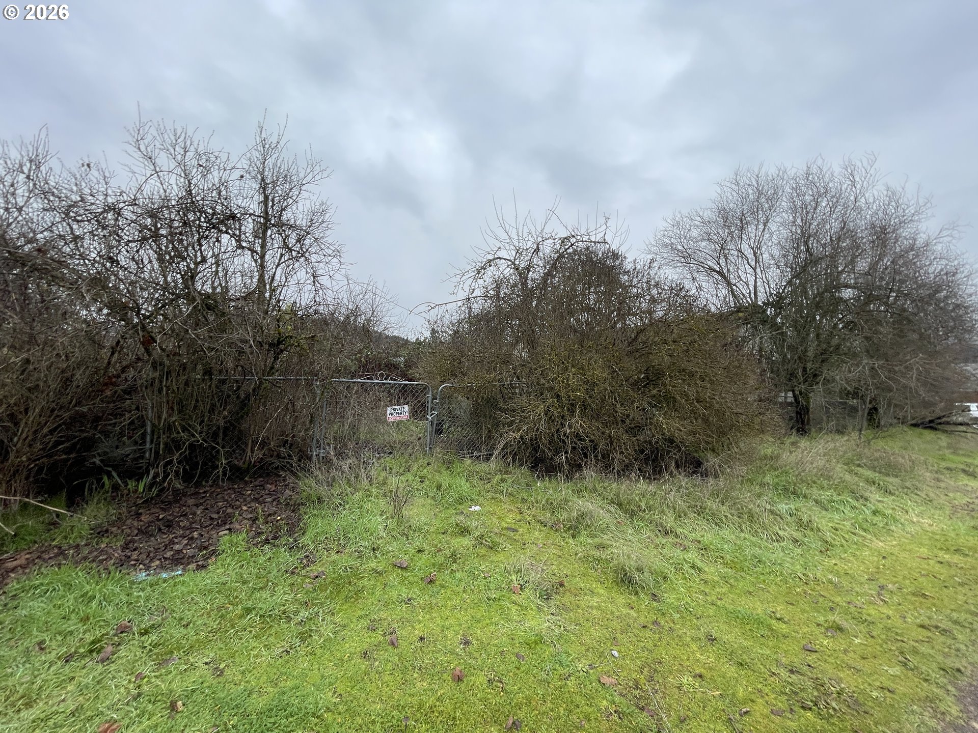 48433 Jasper Drive Oakridge, OR 97463 - Photo 4 of 6 a view of outdoor space and trees