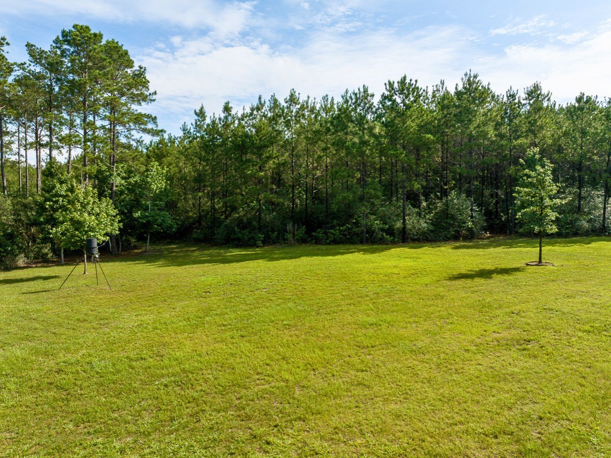 1 South Caney Road Groveton, TX 75845 - Photo 4 of 24