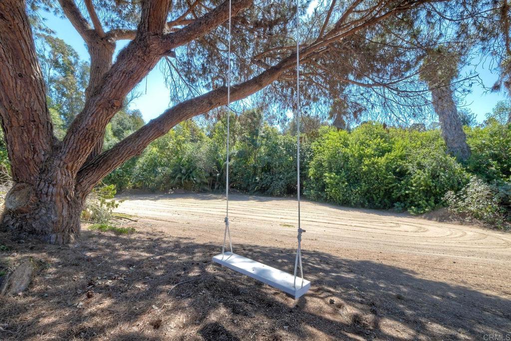 554 Taylor Street Vista, CA 92084 - Photo 3 of 51 a backyard of a house with lots of trees