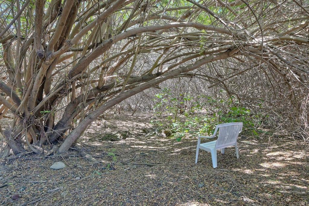 554 Taylor Street Vista, CA 92084 - Photo 35 of 51 a bench sitting in the middle of a forest