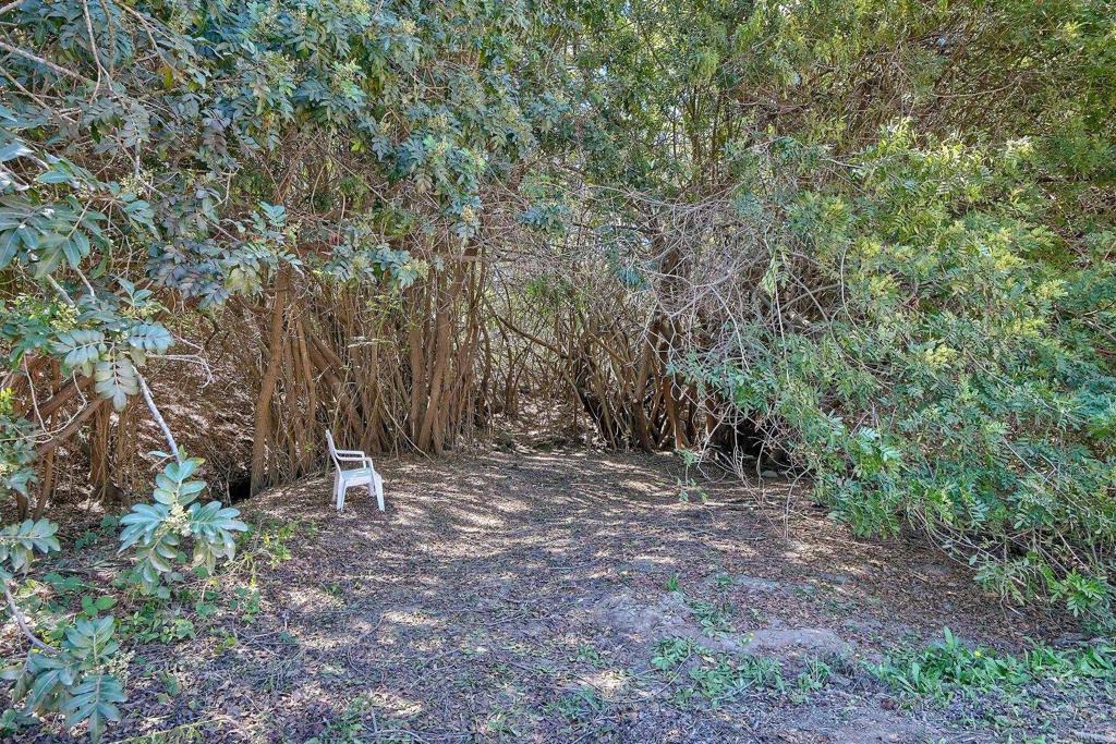 554 Taylor Street Vista, CA 92084 - Photo 36 of 51 a view of outdoor space with trees