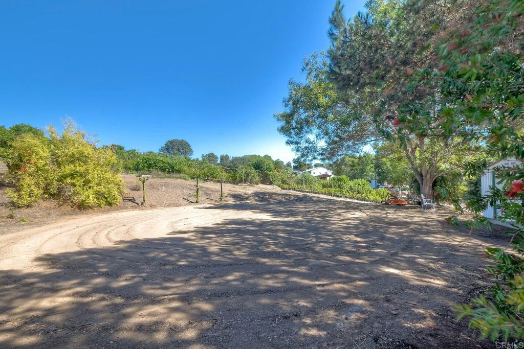 554 Taylor Street Vista, CA 92084 - Photo 5 of 51 a view of big yard with large trees