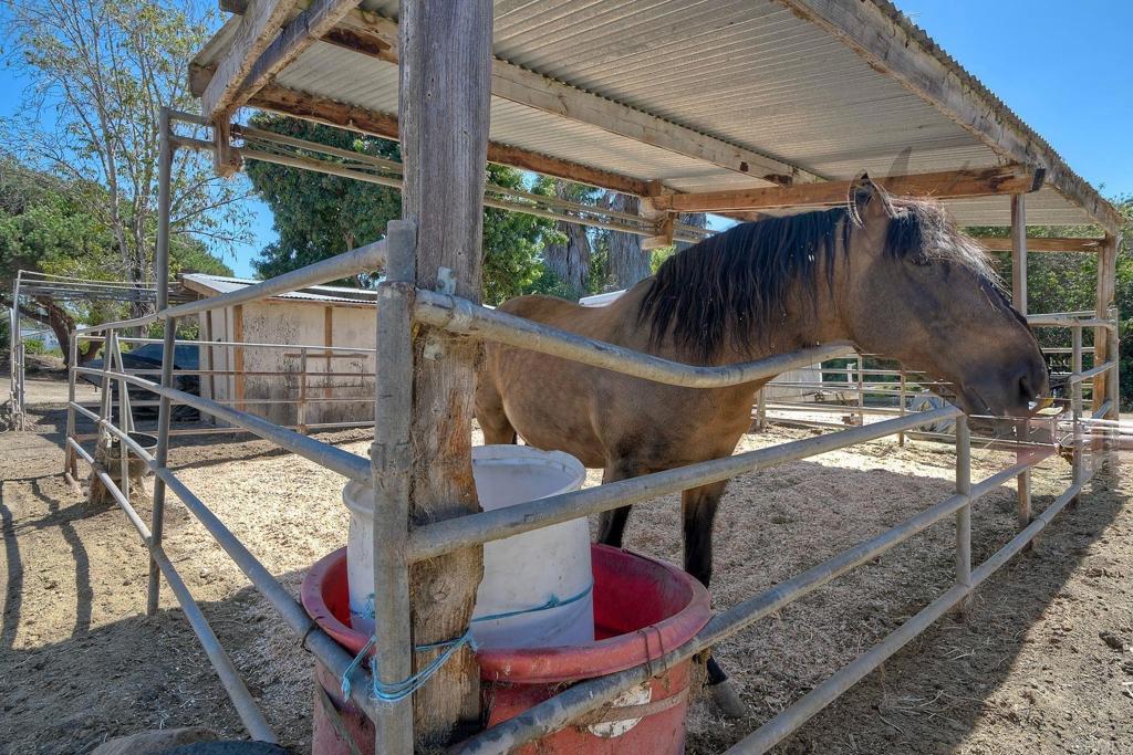 554 Taylor Street Vista, CA 92084 - Photo 7 of 51 a view of outdoor seating