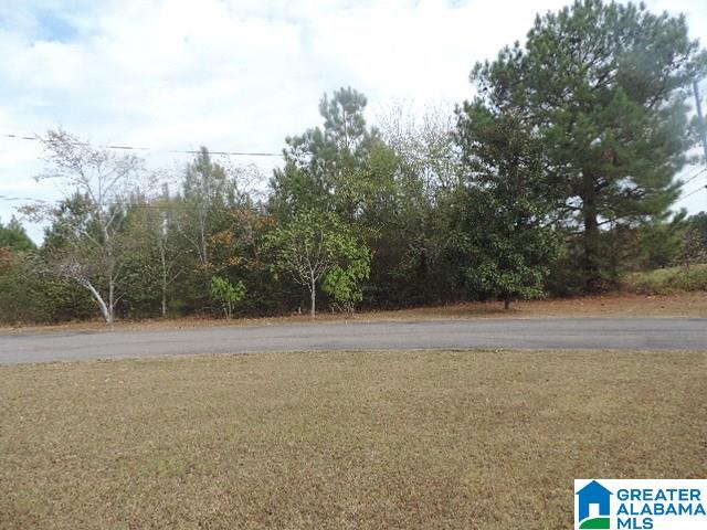 3009 Mayfield Road Warrior, AL 35180 - Photo 33 of 38