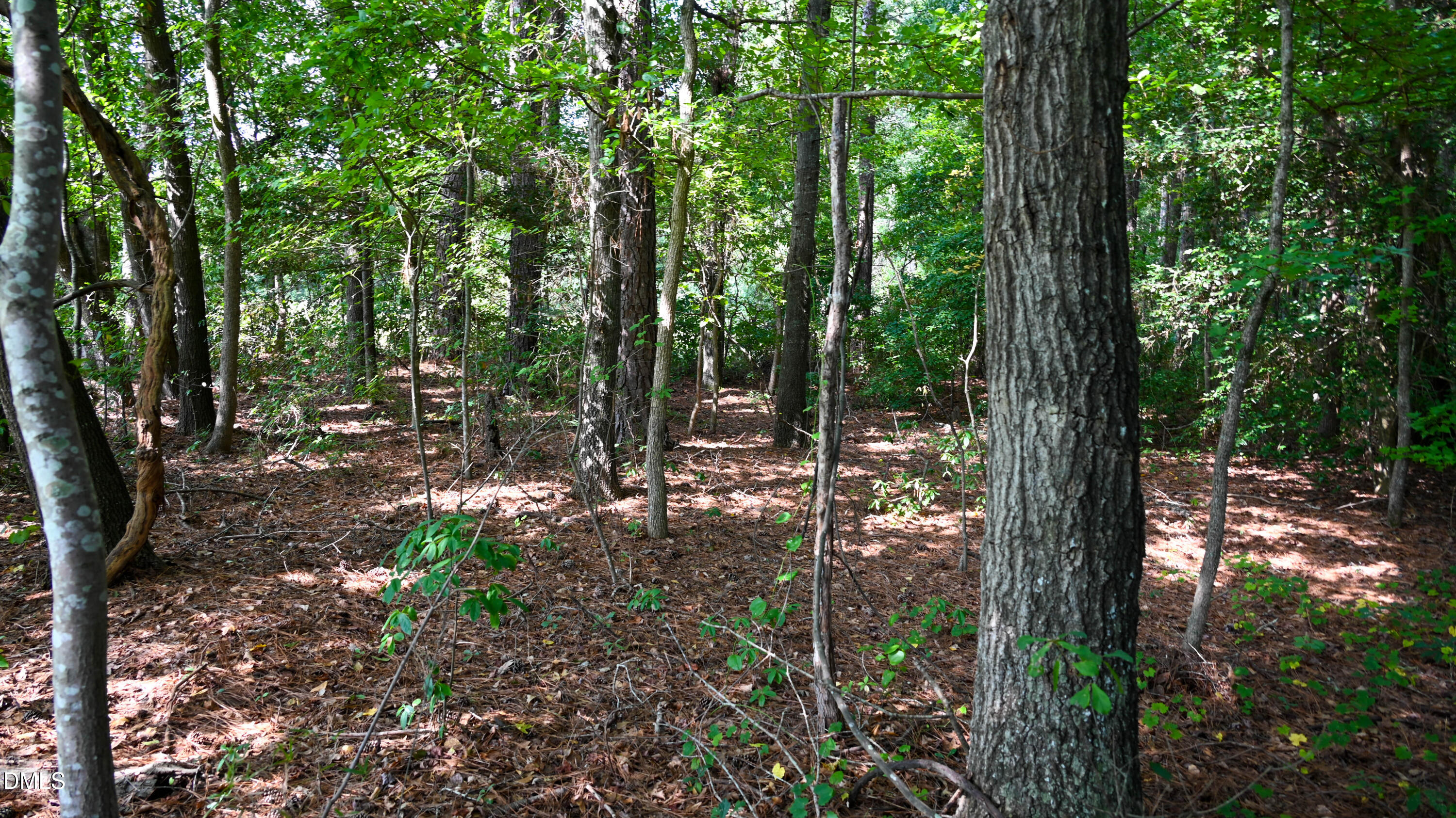 Tbd Jacobs Road Maxton, NC 28364 - Photo 19 of 23 RAE_0833