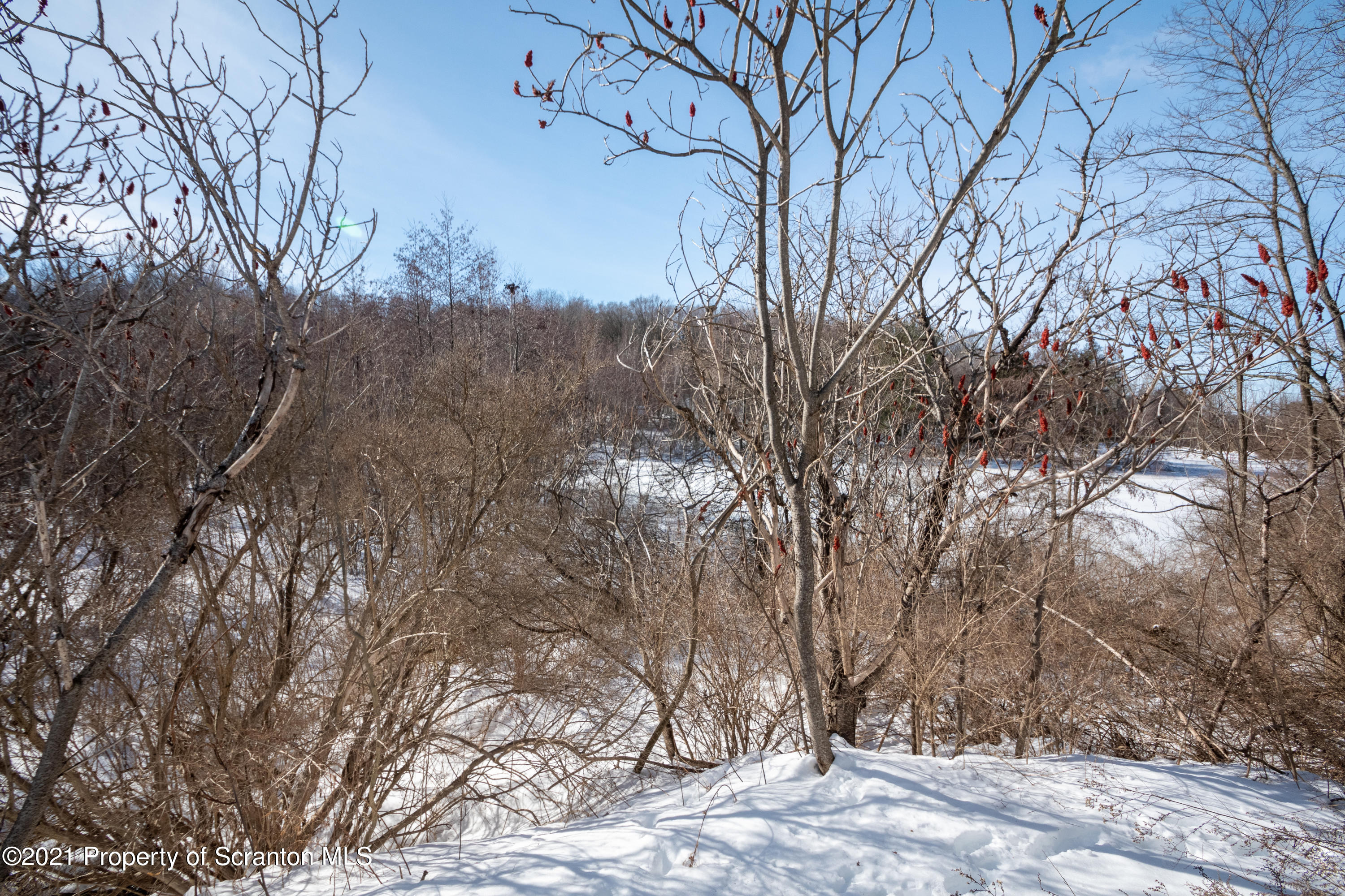 1222 Fairview Road Clarks Summit, PA 18411 - Photo 31 of 38 Gallery Image 31