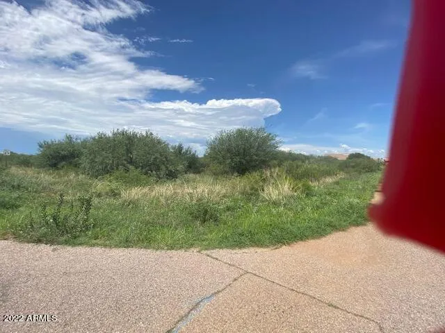 a view of a lake from a yard
