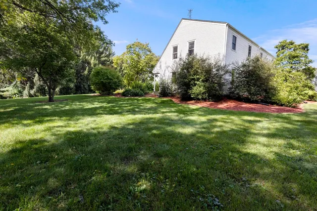 a view of a park with large trees