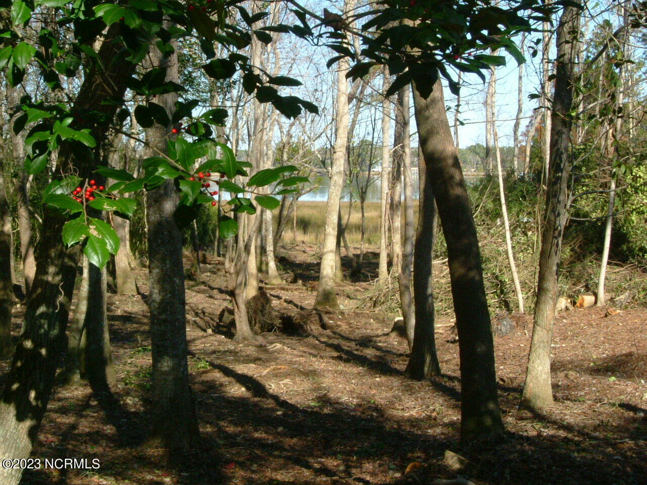 460 Vfw Road Cedar Point, NC 28584 - Photo 17 of 32 DSCF1140