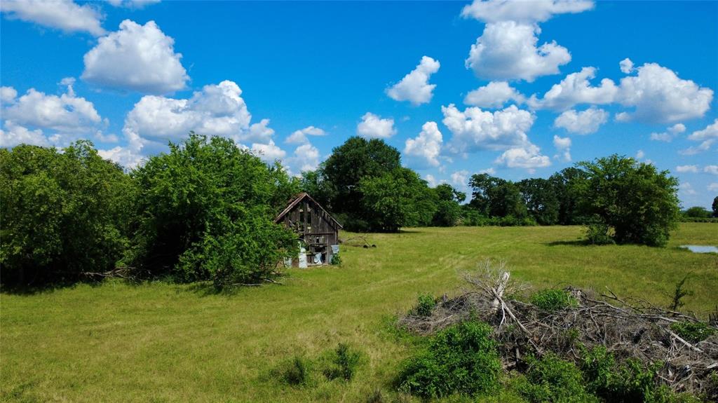 1250 Shannon Road West Sulphur Springs, TX 75482 - Photo 12 of 18