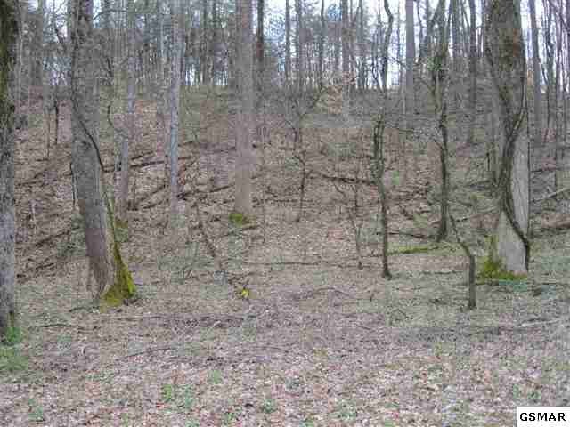 6 McGill Road Sevierville, TN 37862 - Photo 1 of 1