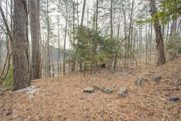 a view of backyard with trees