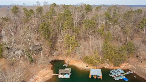 a view of mountain with trees