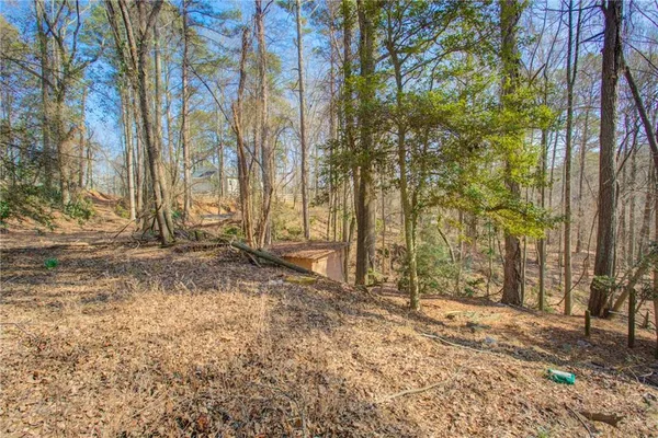 a view of a backyard with large trees