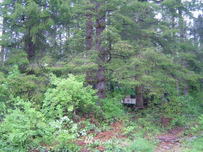 46423 Baker Loop Road Concrete, WA 98237 - Photo 2 of 5 Gallery Image 2