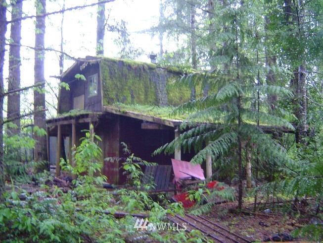 46423 Baker Loop Road Concrete, WA 98237 - Photo 3 of 5 Gallery Image 3