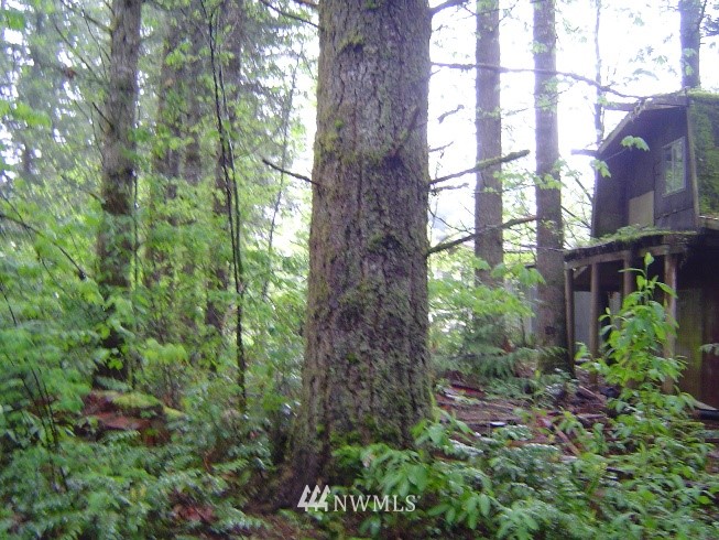 46423 Baker Loop Road Concrete, WA 98237 - Photo 4 of 5 Gallery Image 4