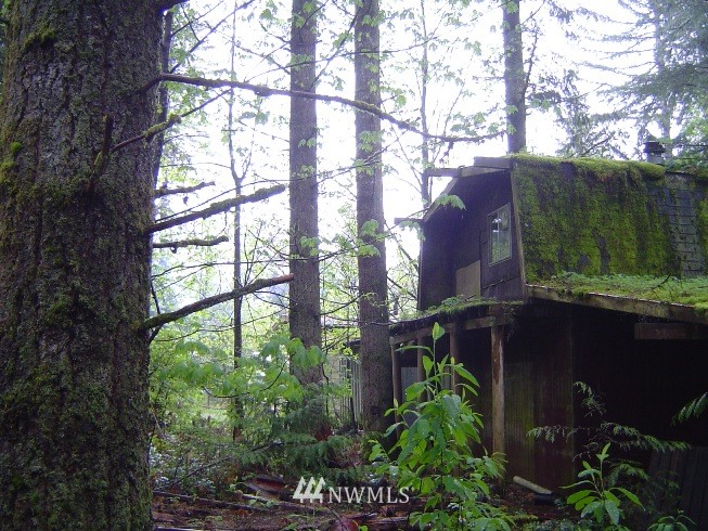 46423 Baker Loop Road Concrete, WA 98237 - Photo 5 of 5 Gallery Image 5