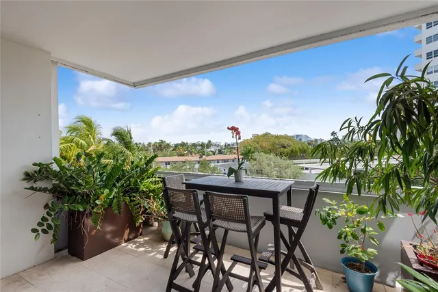 a dining table with chairs and a potted plant